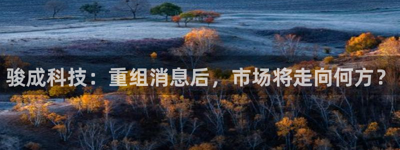 骏成科技：重组消息后，市场将走向何方？
