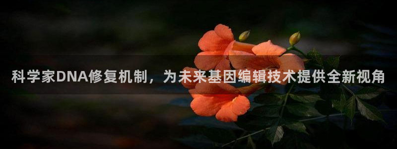 科学家DNA修复机制，为未来基因编辑技术提供全新视角