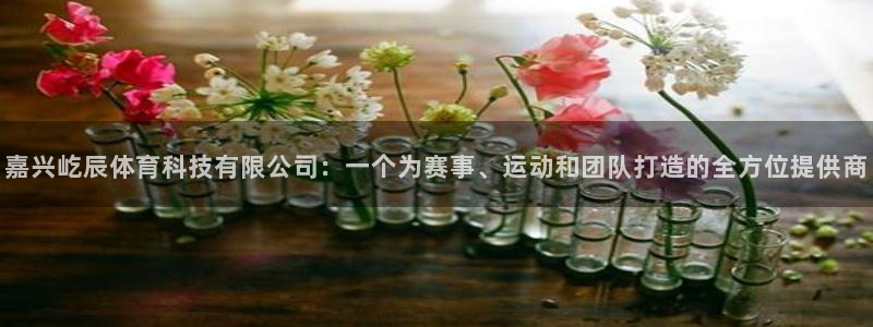 嘉兴屹辰体育科技有限公司：一个为赛事、运动和团队打造的全方位提供商