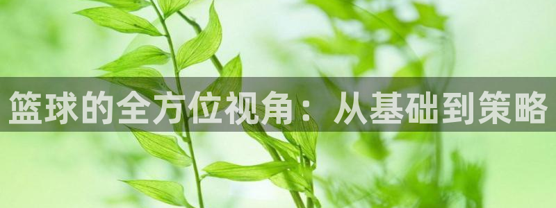篮球的全方位视角：从基础到策略