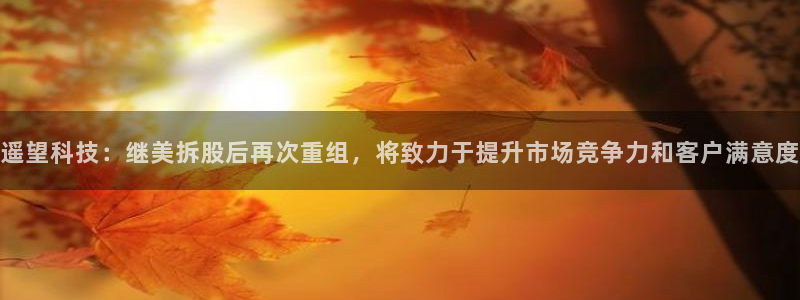 遥望科技：继美拆股后再次重组，将致力于提升市场竞争力和客户满意度