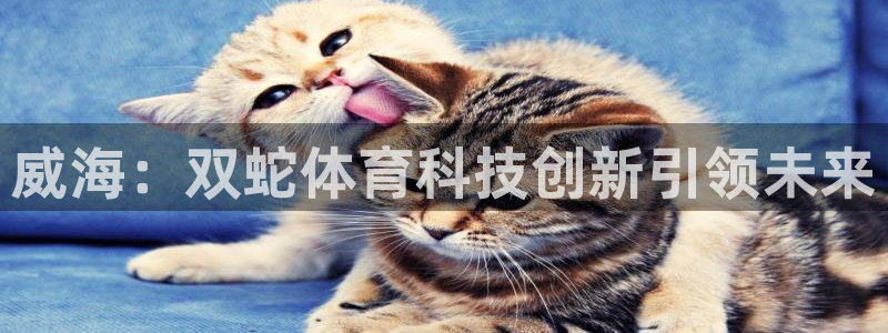 威海：双蛇体育科技创新引领未来
