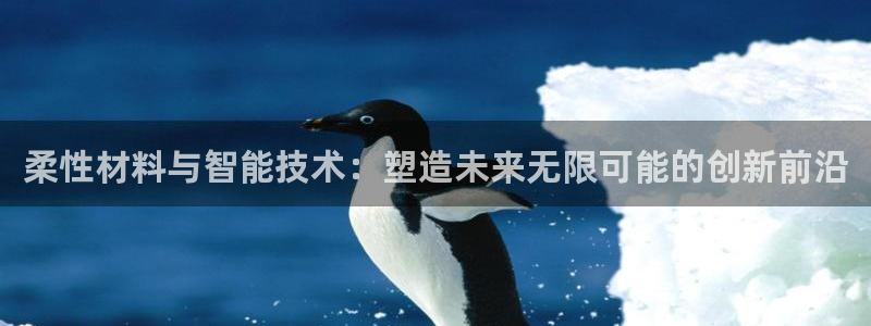 柔性材料与智能技术：塑造未来无限可能的创新前沿