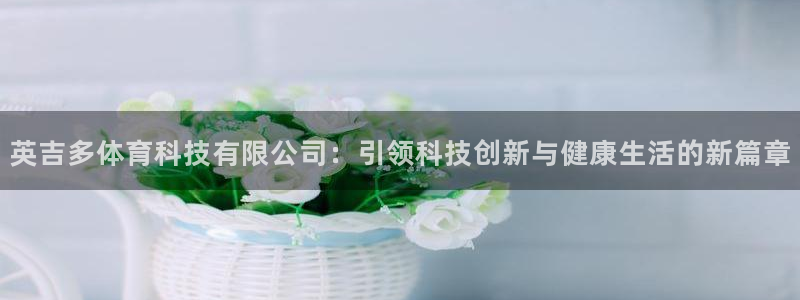 英吉多体育科技有限公司：引领科技创新与健康生活的新篇章