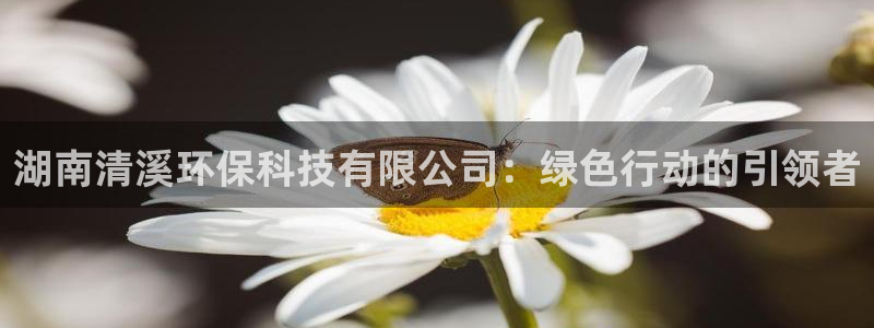湖南清溪环保科技有限公司：绿色行动的引领者