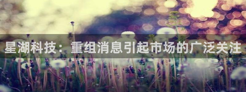 星湖科技：重组消息引起市场的广泛关注
