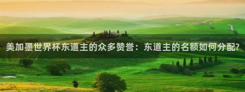 美加墨世界杯东道主的众多赞誉：东道主的名额如何分配?