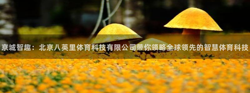 京城智趣：北京八英里体育科技有限公司带你领略全球领先的智慧体育科技